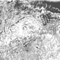 Ruinen Atlantis