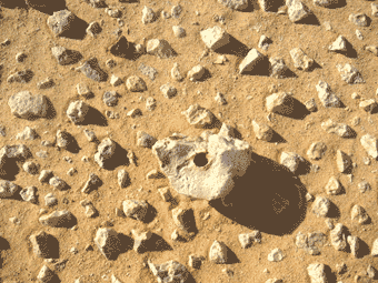 Gebohrter Stein! Drilled Stone