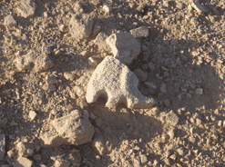 Pyramid-Fund-2