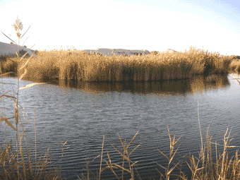 Lake-Al-Jaghbub