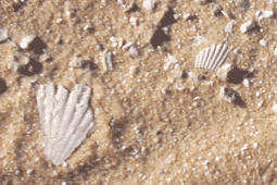 Sea-soil-desert-2