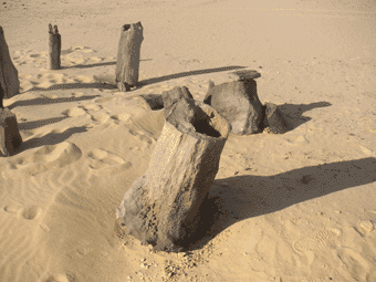 stone-wood