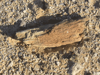 Stone-wood-colour